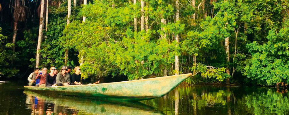 Amazzonia Tambopata