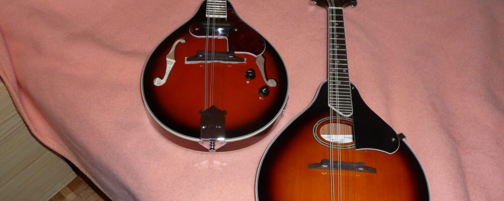 Il mandolino
