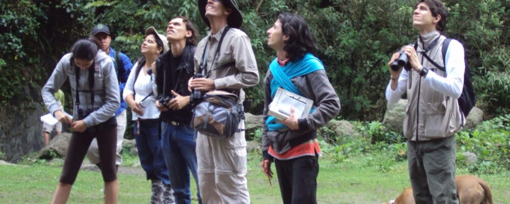 Ornitologia peru