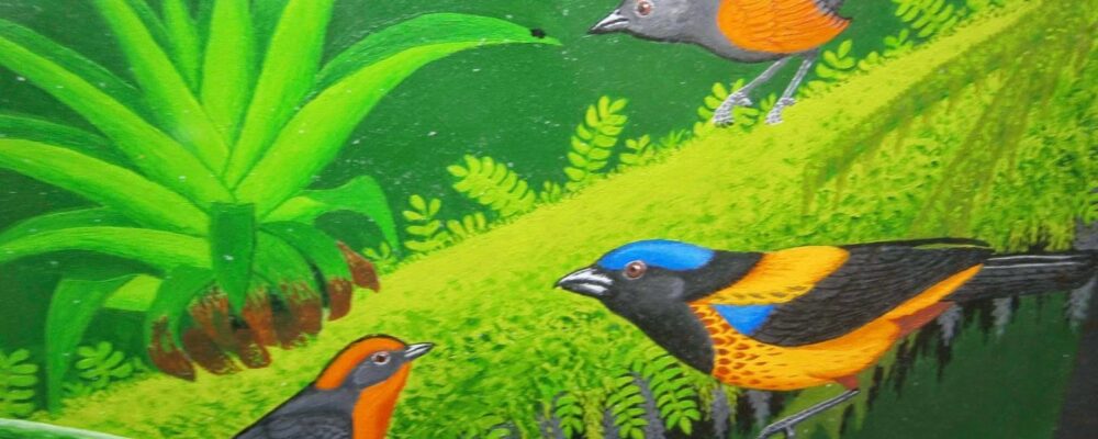 aves peruanas