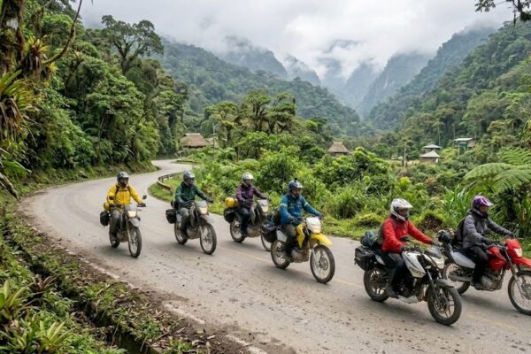 motos (11)