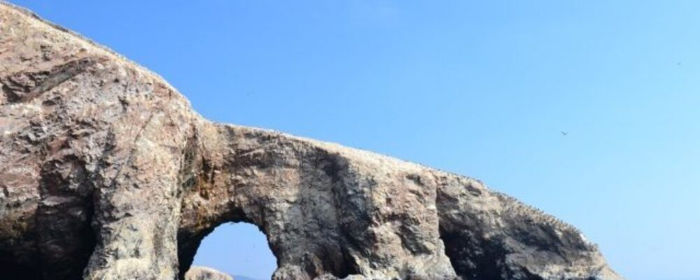 Isole Ballestas Paracas